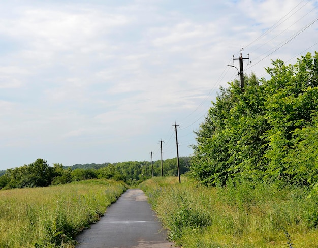 Beautiful empty asphalt road in countryside on colored background