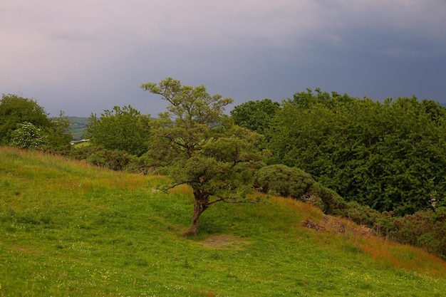 Beautiful English green hills and cloudy sky