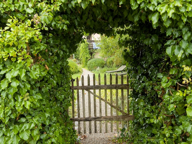 The beautiful entrance through the fence