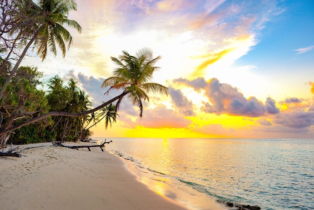 Beautiful evening sunset on the coast of the island Maldives