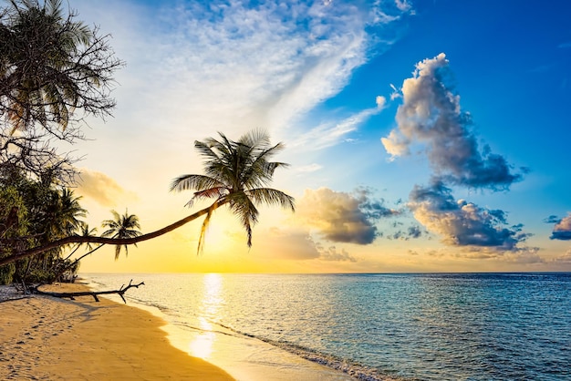 Beautiful evening sunset on the coast of the island Maldives