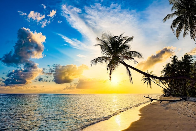 Beautiful evening sunset on the coast of the island Maldives