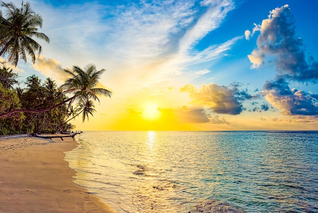 Beautiful evening sunset on the coast of the island Maldives