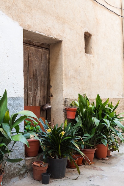 The beautiful exterior facade with a wooden door and brown and black plant pots