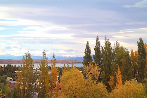 Beautiful Fall Foliage of El calafate Town on Lago Argentino Lakeshore Patagonia Argentina