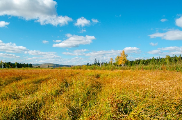 Beautiful fall landscape. Meadow on a background of the blue sky with clouds.