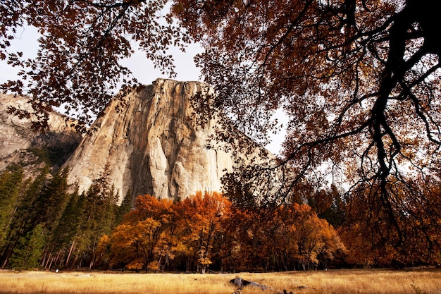 Photo beautiful fall season in yosemite national park,california, usa