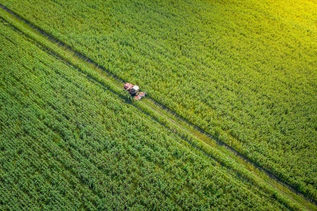 Beautiful farm harvest with a combine in the field