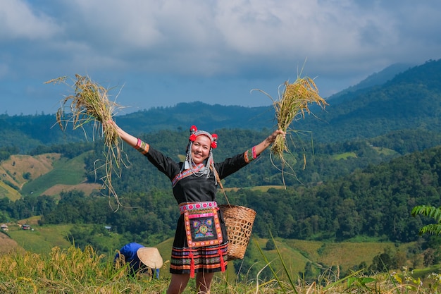 A beautiful farmer girl with straw in rice fields in northern Thailand