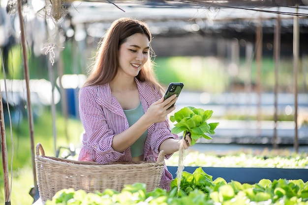 Beautiful female farmer checking quality and quantity of organic hydroponic vegetable