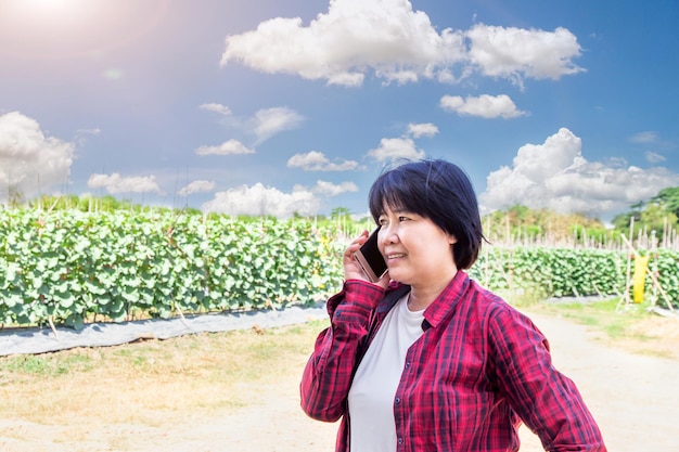 Beautiful female farmer holding smart phone and checking the quality of an organic melon that grown in the garden hydroponic system and information on the mobile phone in hand