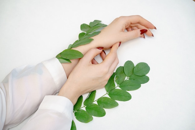 Beautiful female hand lying on white background 