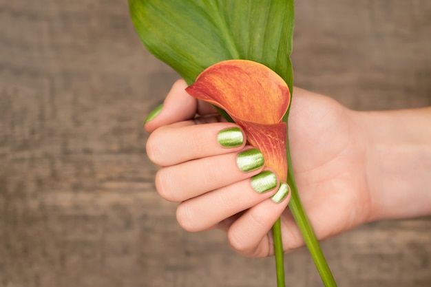 Beautiful female hand with green nail design holding calla lily. Female hand with glitter manicure on wooden background.