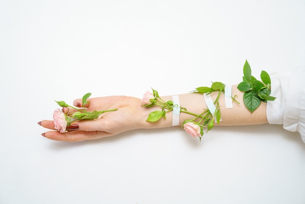 Beautiful female hand with pink roses