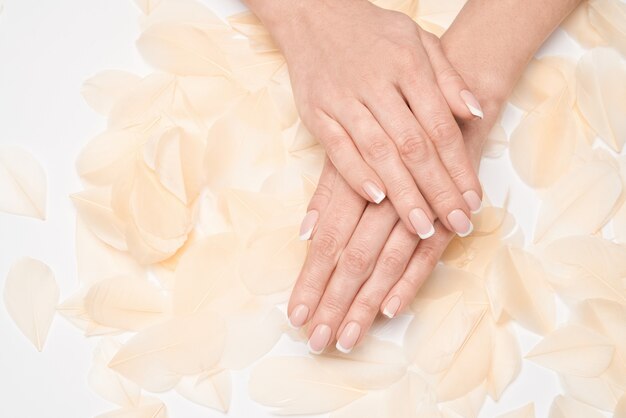 Beautiful Female Hands with French manicure and feathers over light grey surface