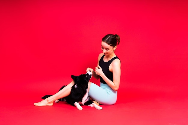 Beautiful female with border collie in studio yellow and red background