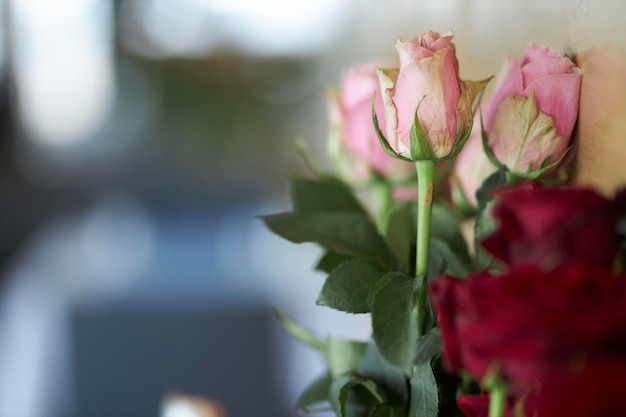 Beautiful festive bouquet of roses Roses close up