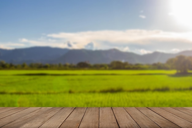 Beautiful fields with sky and mountainsxA