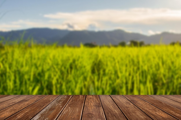 Beautiful fields with sky and mountainsxA