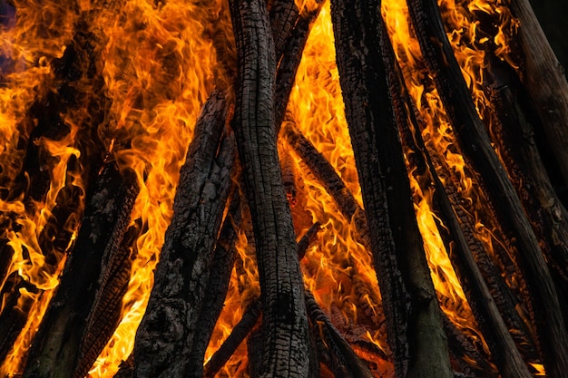 Beautiful fire flames on a campfire