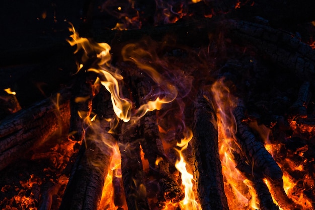 Beautiful fire flames on a campfire