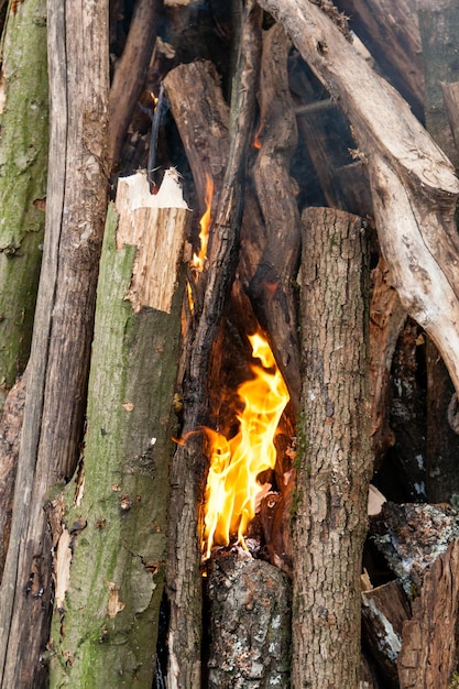 Beautiful fire flames on a campfire