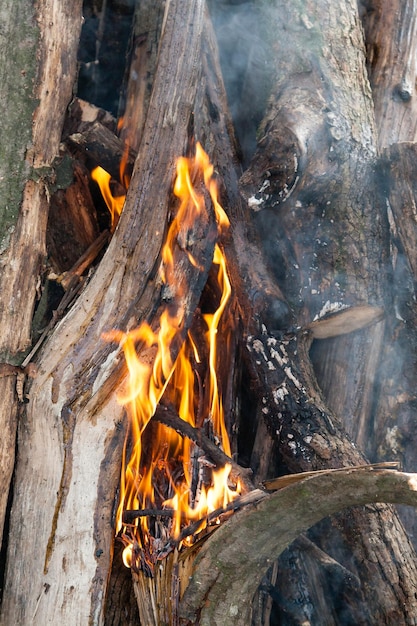 Beautiful fire flames on a campfire