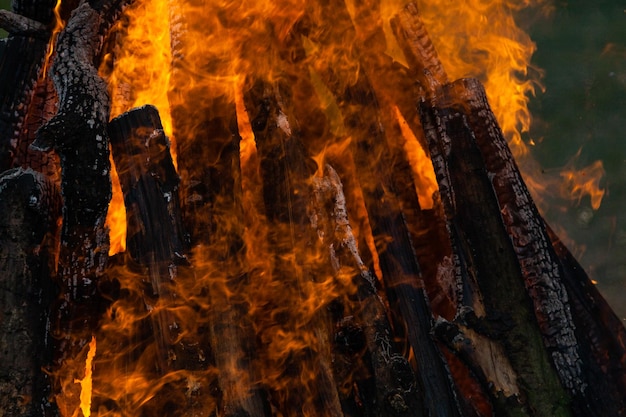 Beautiful fire flames on a campfire