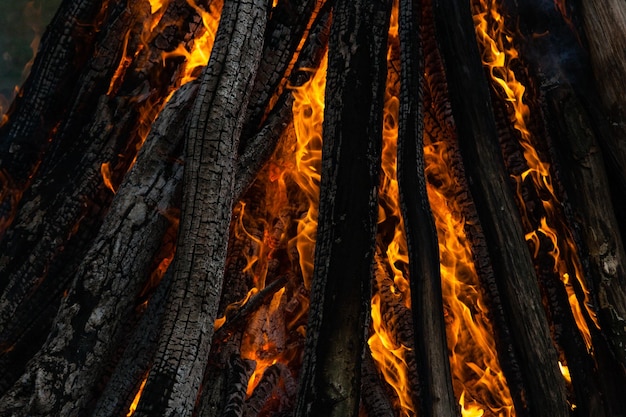 Beautiful fire flames on a campfire