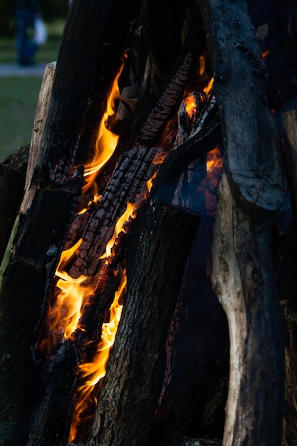 Beautiful fire flames on a campfire