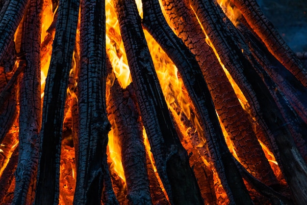 Beautiful fire flames on a campfire