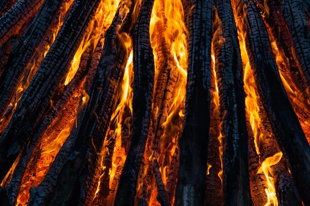 Beautiful fire flames on a campfire