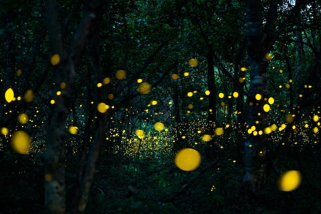 Photo beautiful firefly flying in the forest fireflies in the bush at night in udonthani thailand firefly symbolizes the integrity of the ecosystem long exposure photo