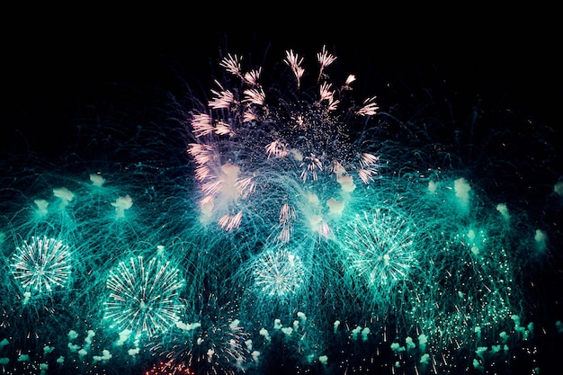 Beautiful Firework at night. Colored burst on black sky. Light trace with bright burst and sparks from firework blowing up at dark night sky. Long exposure