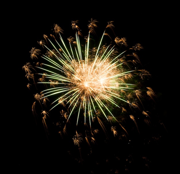 Beautiful Firework in the sky, celebration and new year concept