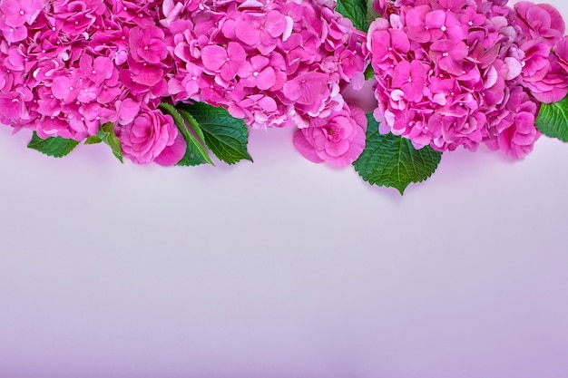 Beautiful floral background and green leaves, texture, wallpaper. Flat-laypink hydrangea on rose background