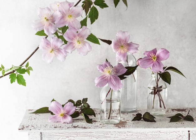 Beautiful floristic arrangement with pastel white and rosa clematis flowers in small glass vase