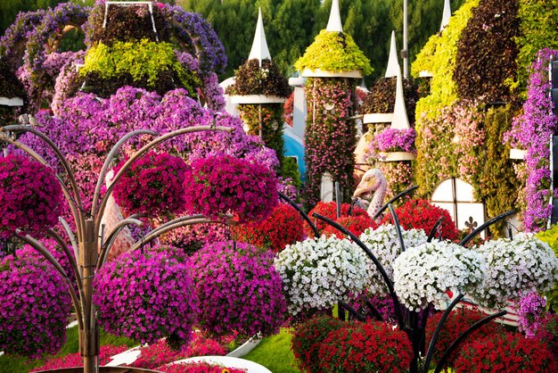 Beautiful flower decoration with blooming petunias outdoors