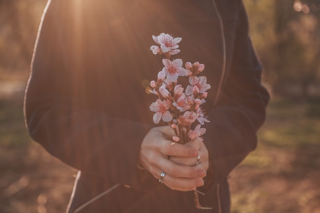 Beautiful flowering peach. Background with flowers on a spring day, sunset