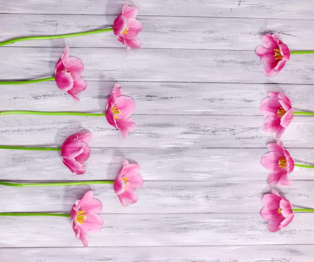 Beautiful flowers on color wooden background