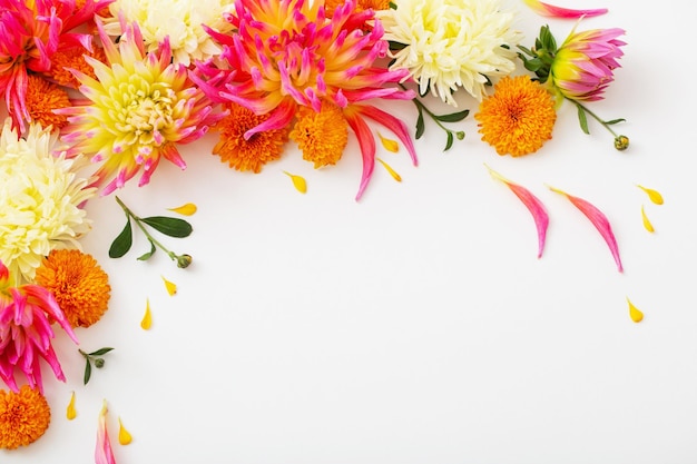 Beautiful flowers composition on white background