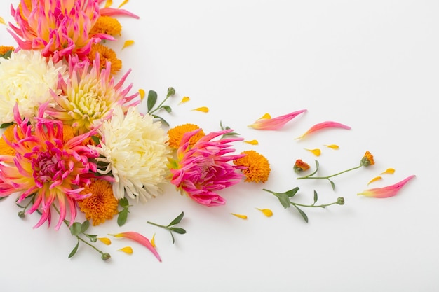 Beautiful flowers composition on white background