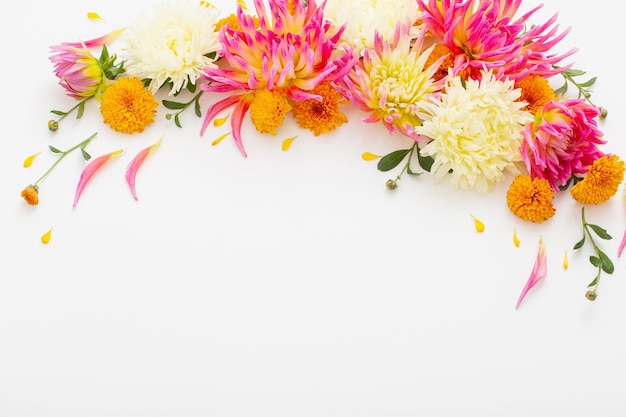 beautiful flowers composition on white background