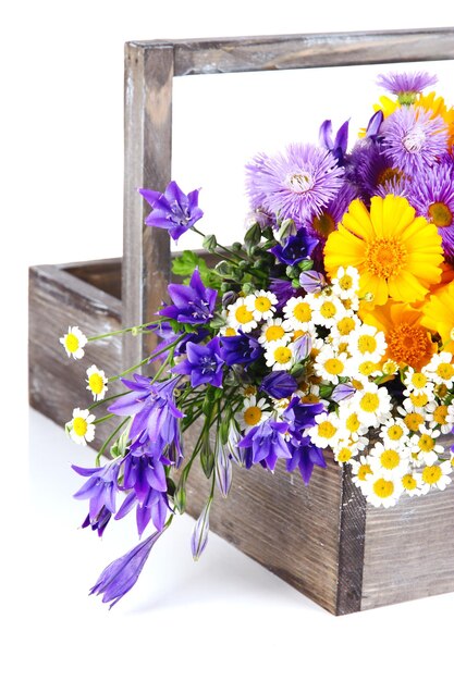 Beautiful flowers in crate isolated on white