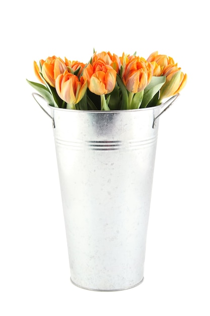 Beautiful flowers orange tulips in a metal bucket.