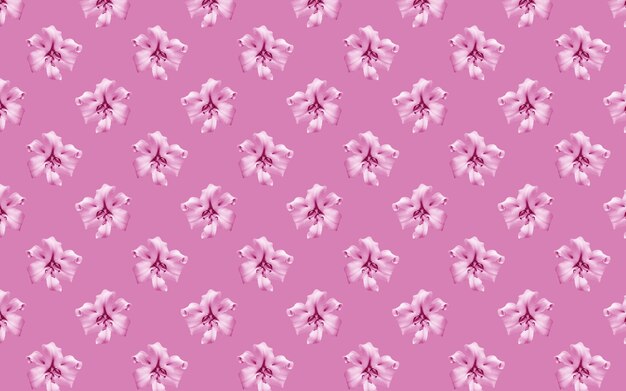 Beautiful flowers pink lilies. Seamless pattern of Lily flower bloom. Floral natural background.