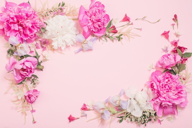 Beautiful flowers on pink paper background