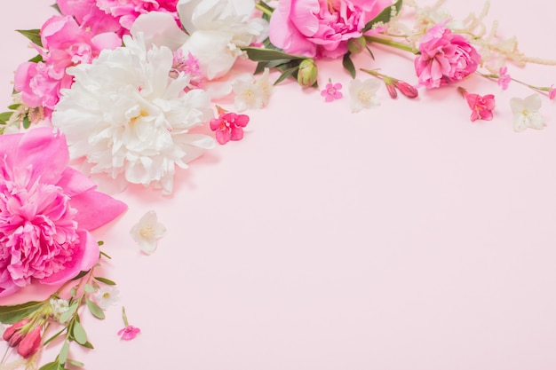 Beautiful flowers on pink paper background