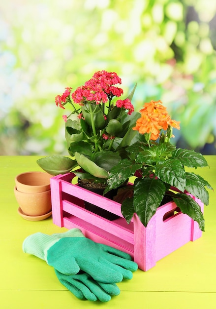 Beautiful flowers in pots on wooden table on natural background