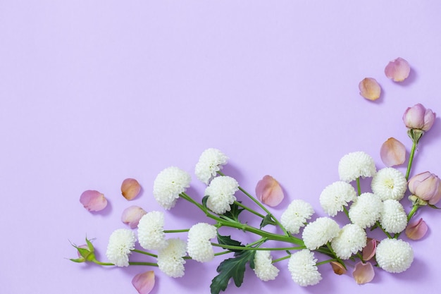 Beautiful flowers on purple paper background